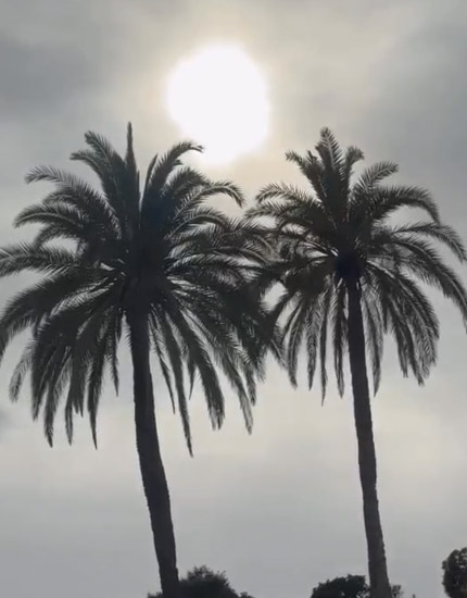Instagram video preview 5